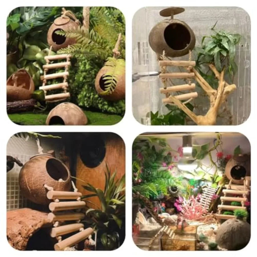 Ten Pcs Crested Gecko Tank Accessories Reptile Plants Bridge Vines Ladder Cage