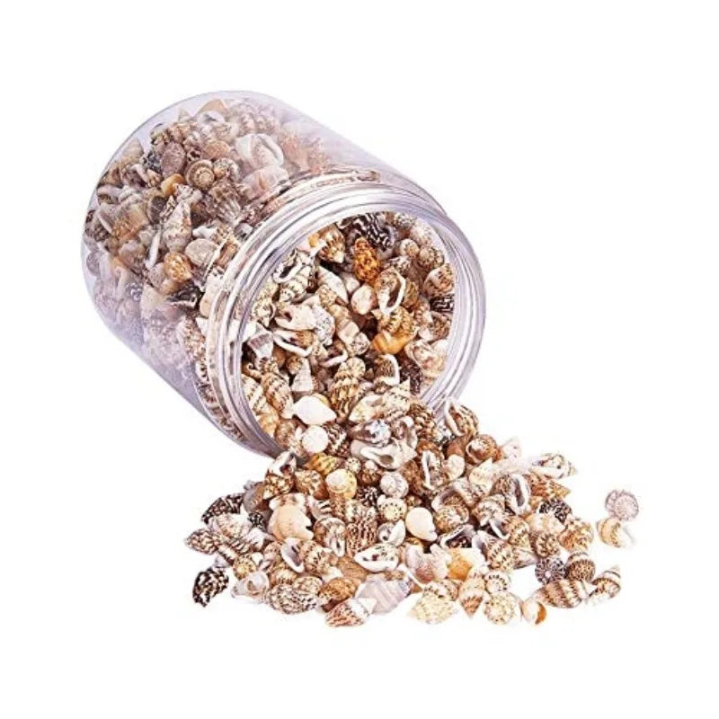 Mixed Sea Shells Ocean Beach Spiral Seashells Craft Charms for Home Decorations Candle Making Fish Tank and Vase Filler