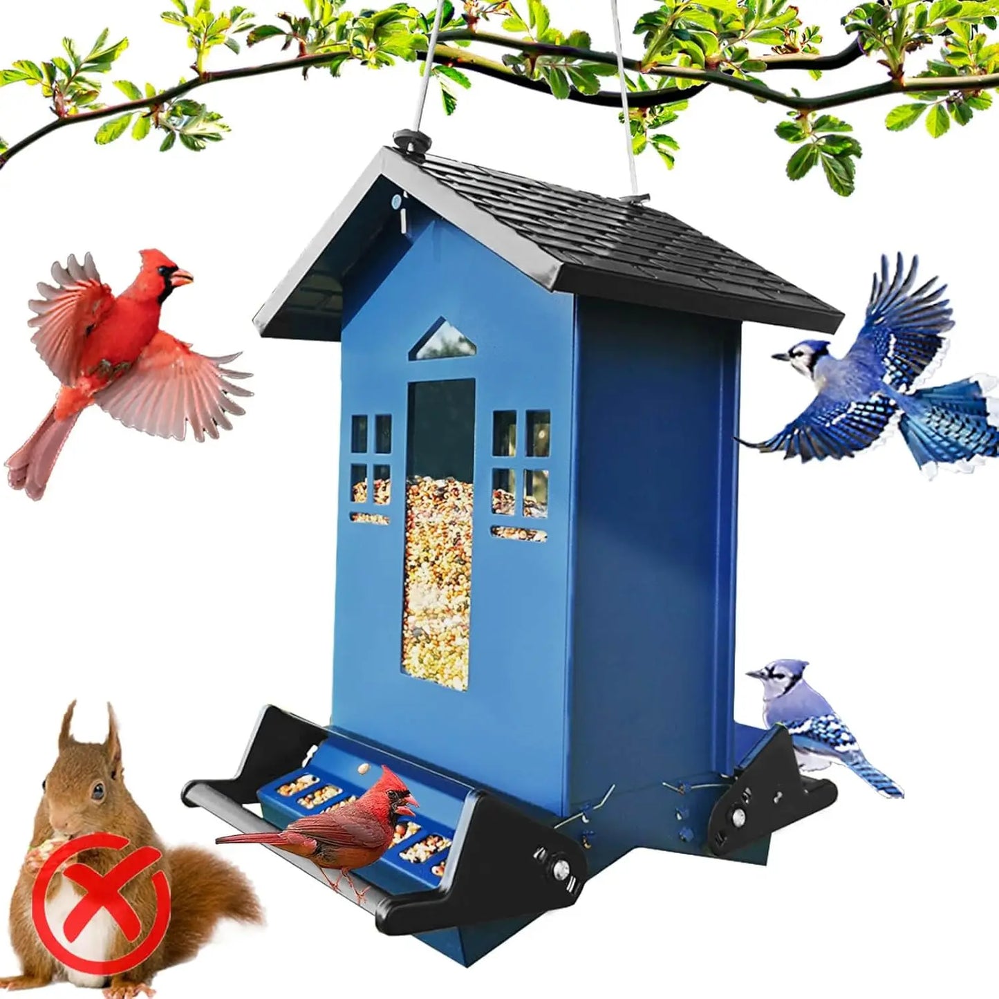 Squirrel Proof Bird Feeder for Outside Large Capacity Seed