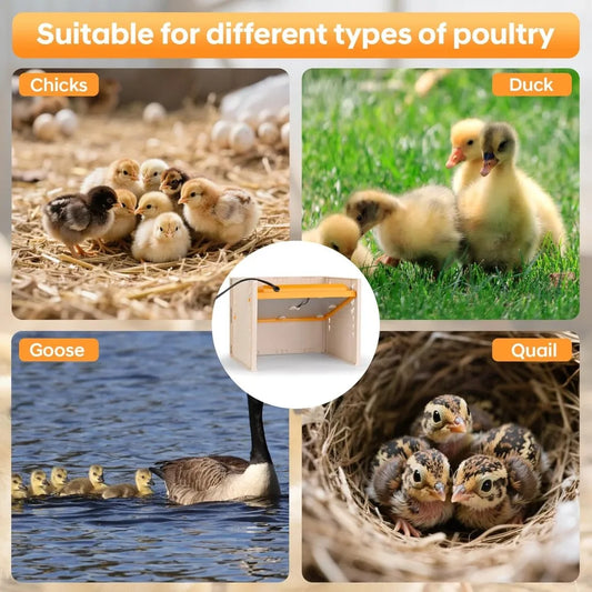 Brooder Plate For Chicks 25W Heat Plate With Temperature Control Adjustable Height And Angle For Baby Chicken Poultry Duck