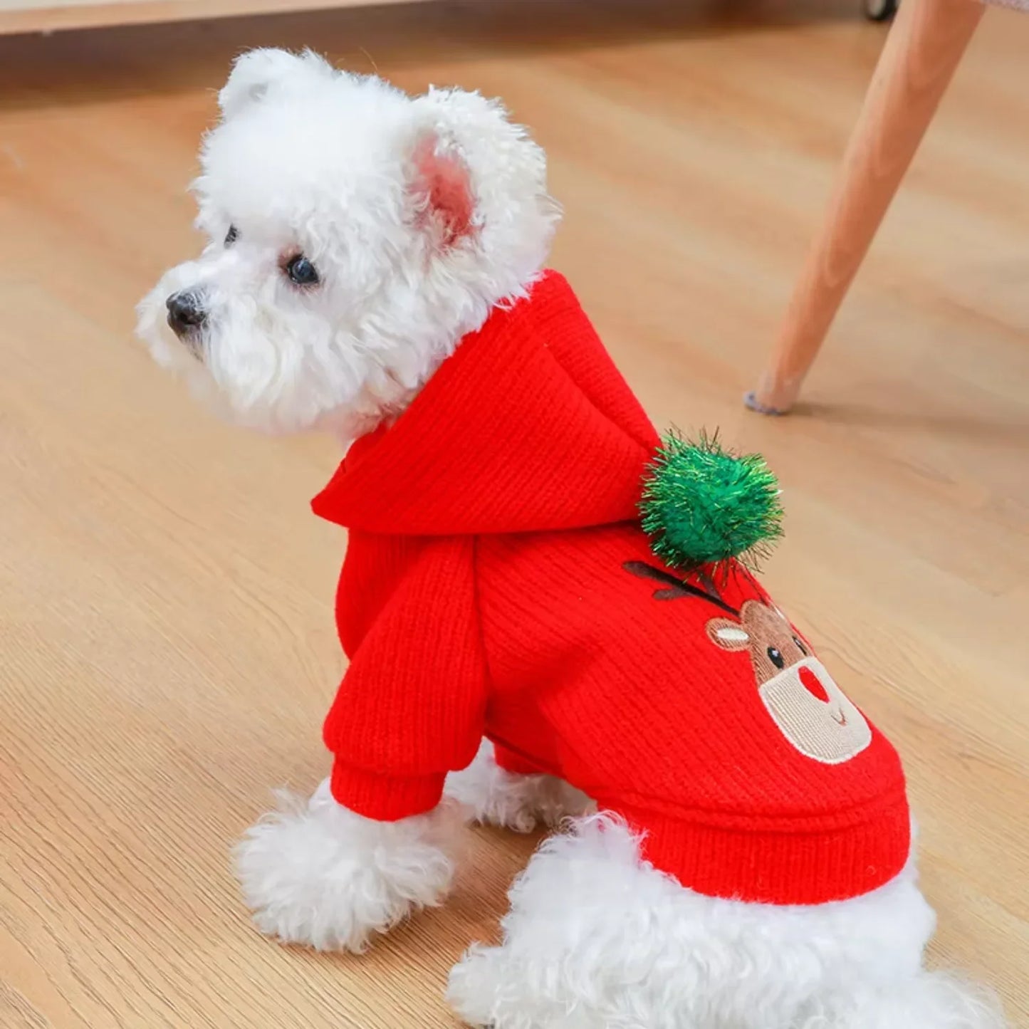 Pet Skirt Dress Winter Christmas Coat For Small Dogs