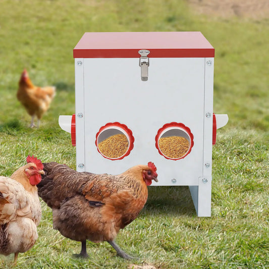 Chicken Feeder Large Capacity Chicken Feeder 6-Hole Feeder