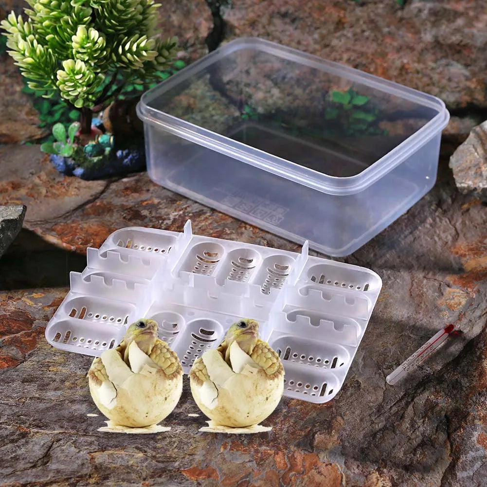 16 Grid Reptile Egg Incubator Tray Hatching Box for Snake Lizard Tortoise Turtle