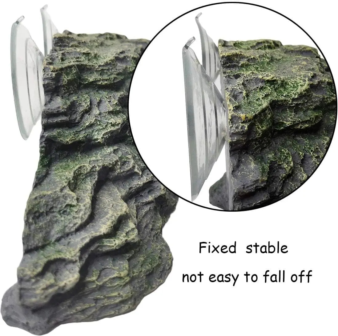 Turtle Bathing Platform With Gentle Ramp For Small Turtles