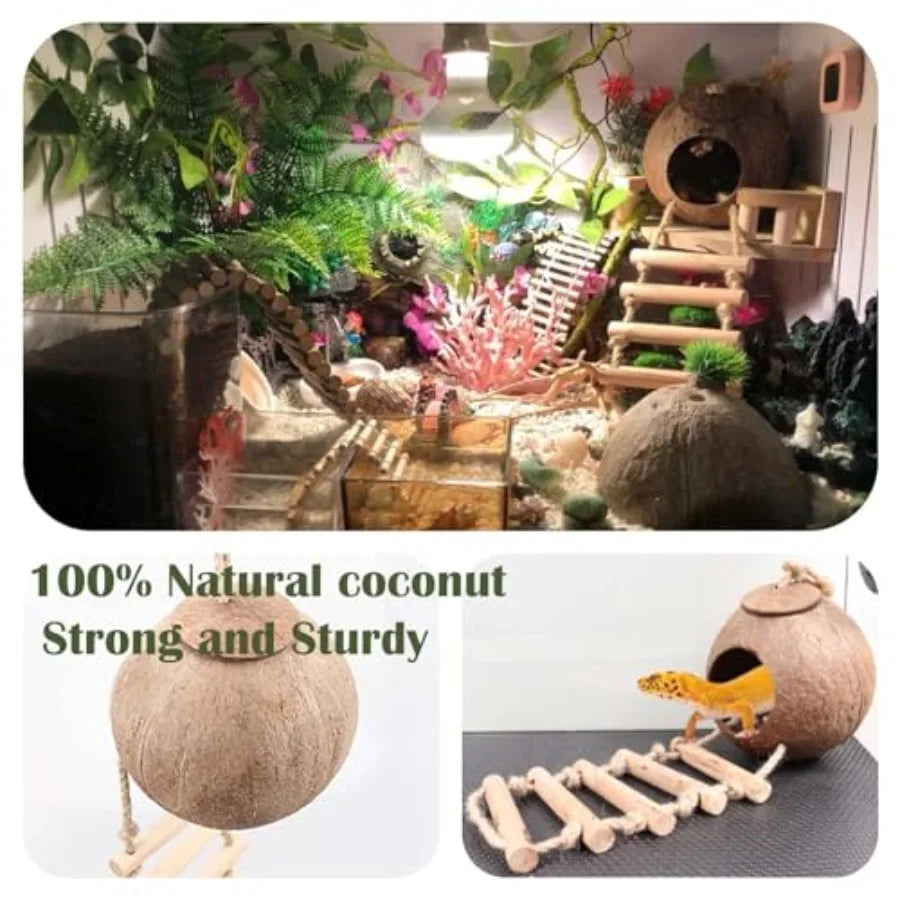 Ten Pcs Crested Gecko Tank Accessories Reptile Plants Bridge Vines Ladder Cage