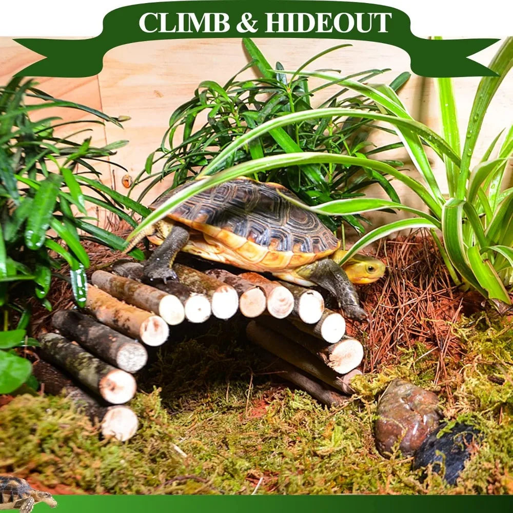 Bearded Dragon Large Hammock Bridge Accessories Jungle Vines With Suction Cups