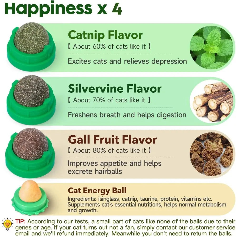 Catnip Balls for Cats 4 Pack Extra Energy Edible Silvervine Toys for Kittens Dental Cleaning