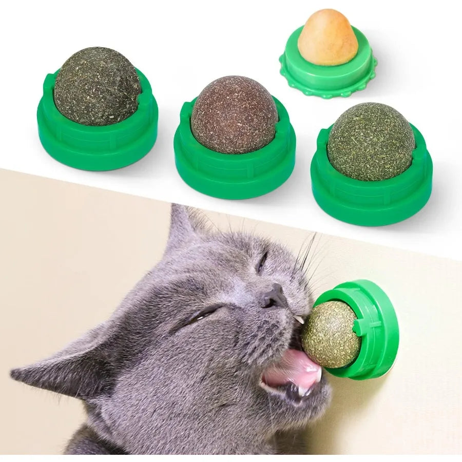 Catnip Balls for Cats 4 Pack Extra Energy Edible Silvervine Toys for Kittens Dental Cleaning
