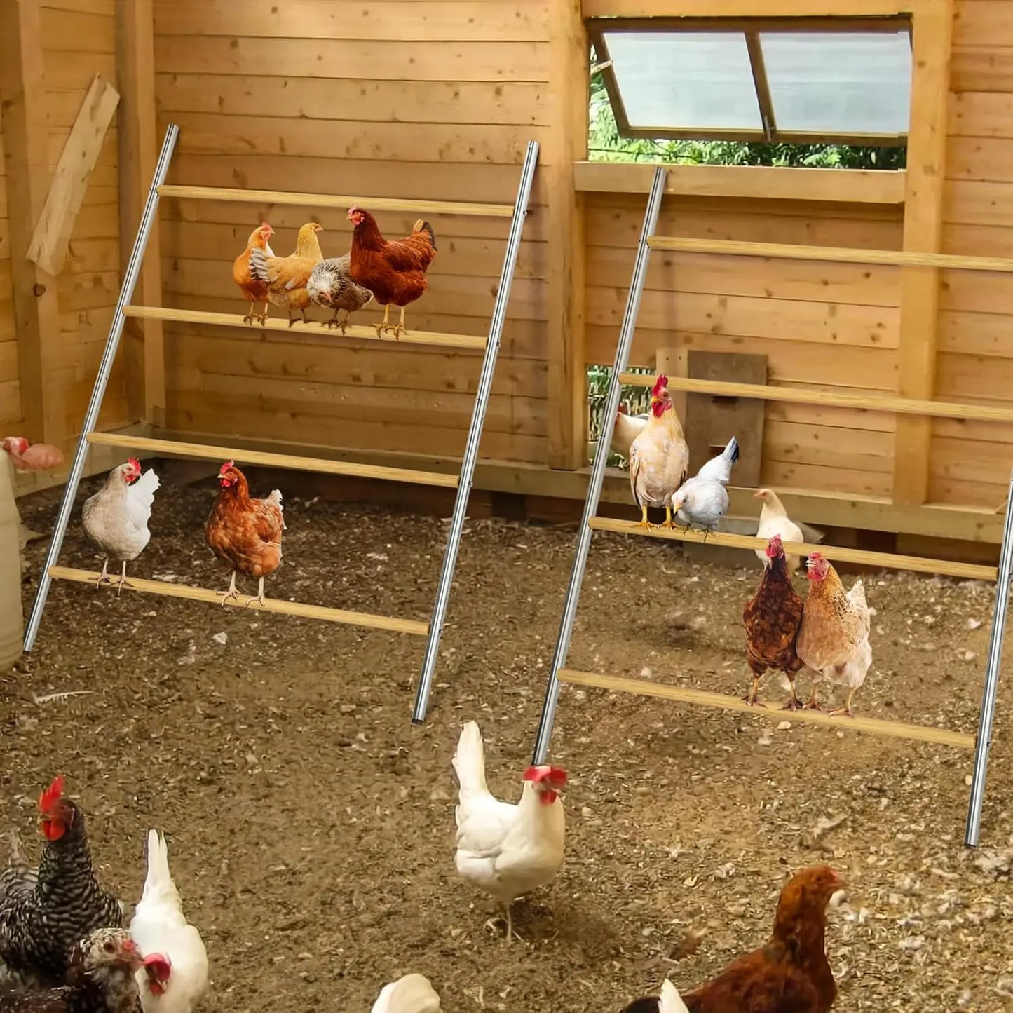 Chicken Coop Roosting Perch Essentials Perfect for Backyard Poultry Easy to Assemble and Clean Fun Roost Toys Included