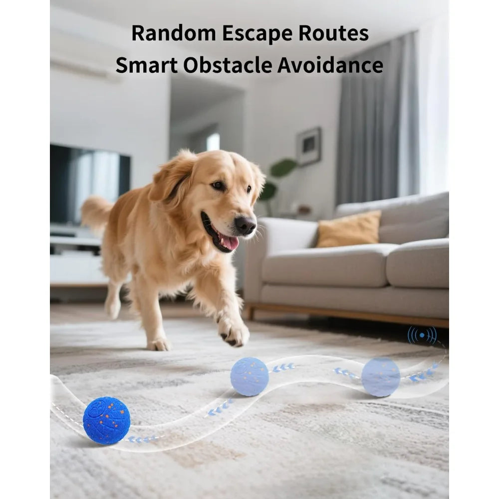 Schitec Smart Interactive Dog Ball Toy Auto Moving 3 Modes