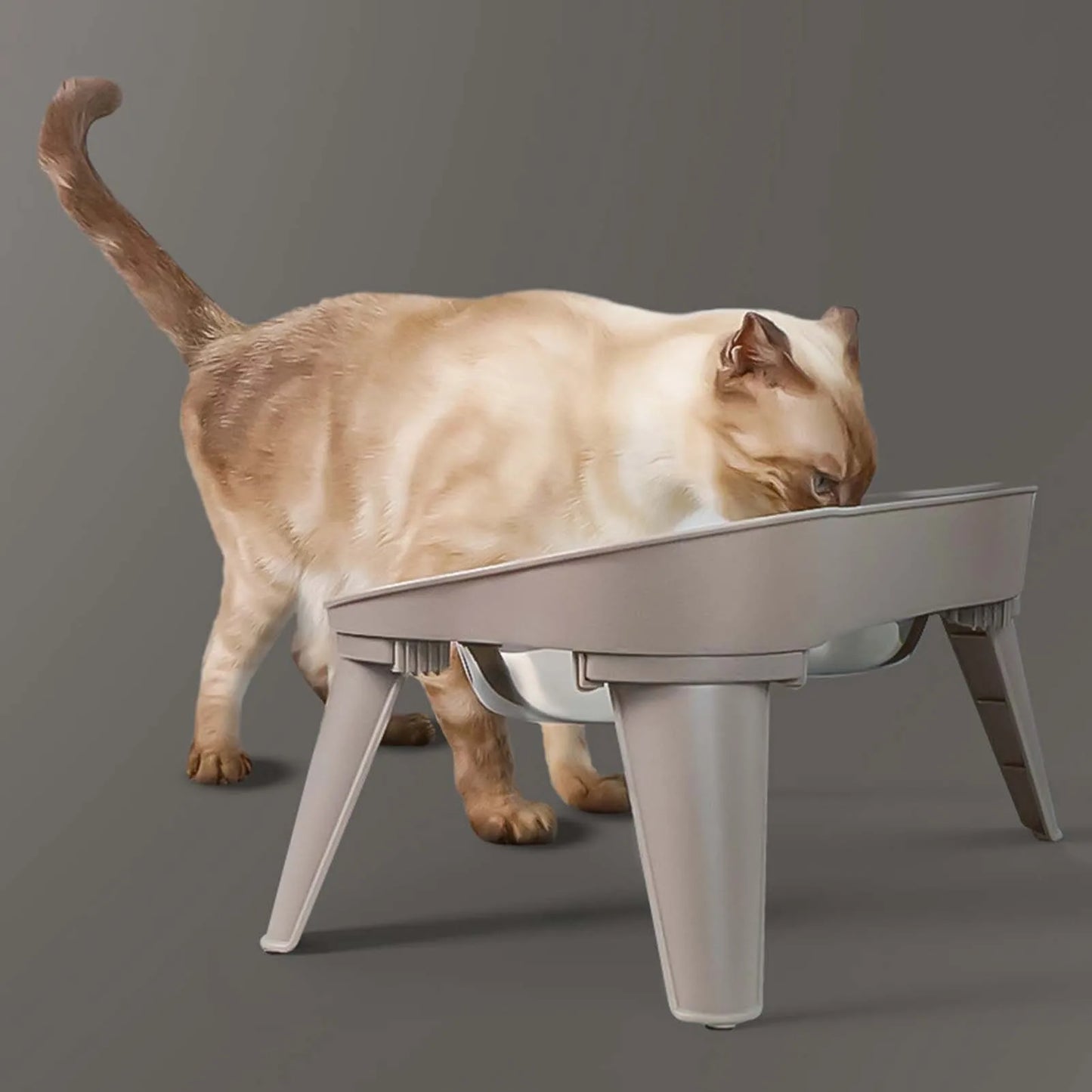 Raised Stand Elevated Dog Feeder Non-Slip No Spill Design