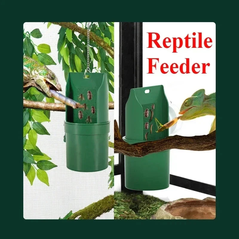 20X10cm Reptile Water Drinker Durable Materials Feeder