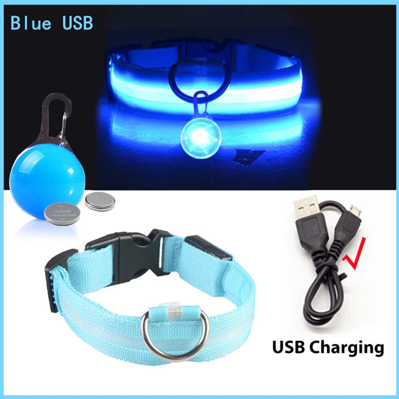 Usb Charging Glowing Dog Collar With Pendant Led Light