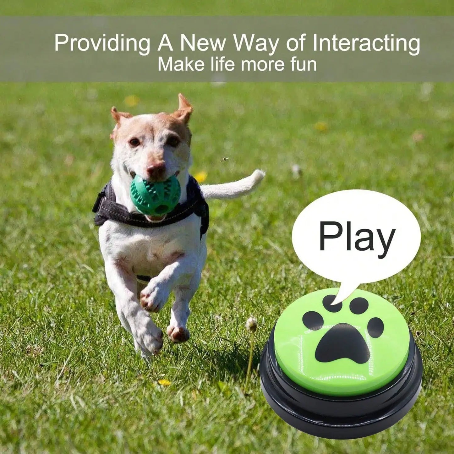 Easy Recording Button Fun and Multifunctional Dog Button Intelligent Recording Buzzer for Canine Training
