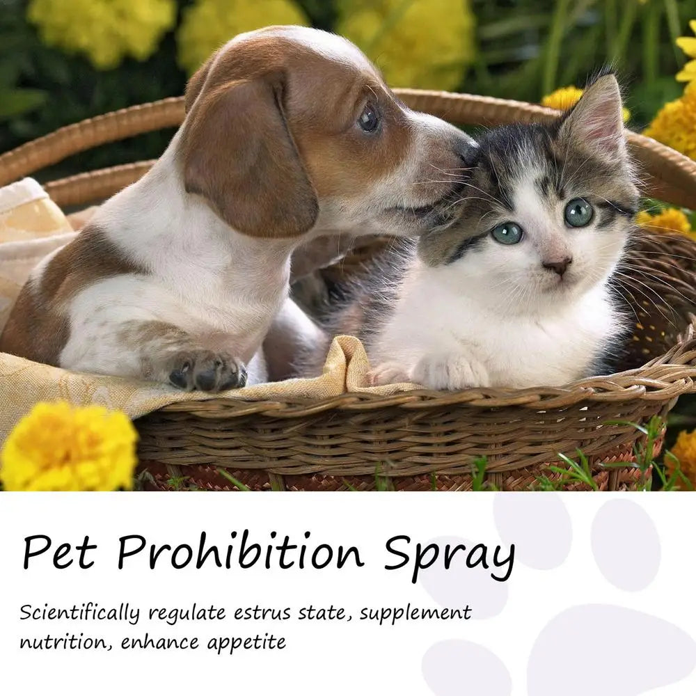 Calming Diffuser Dog Calming Spray For Cats Safe Healthy Anti-anxiety Liquid Sprays For Cars New Environments Remedies Calm Down