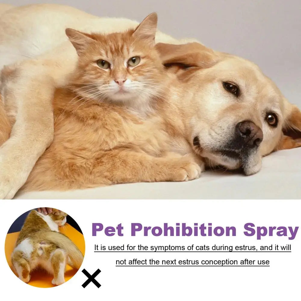 Calming Diffuser Dog Calming Spray For Cats Safe Healthy Anti-anxiety Liquid Sprays For Cars New Environments Remedies Calm Down