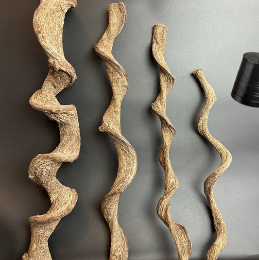 Climbing Wood Vine For Reptile Tanks Natural Dragon Vine