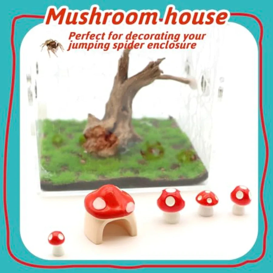 5 Pack Jumping Spider Habitat Decor Mushroom Hide Resin Accessories Terrarium