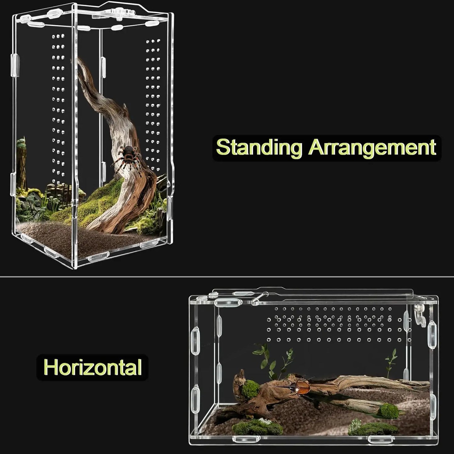 Acrylic Reptile Terrarium Habitat Bearded Dragon Enclosure