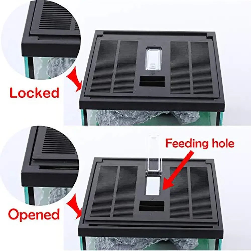 Glass Tank Spider Box Kit 7.8x7.8x5.9 Inch Tarantula Feeder Insects Beetle Habitat Amphibians Terrarium Small Pet Kit
