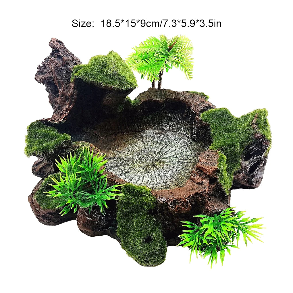 Sturdy And Reliable Reptile Feeder Bowl Easy To Clean Food Water Dish