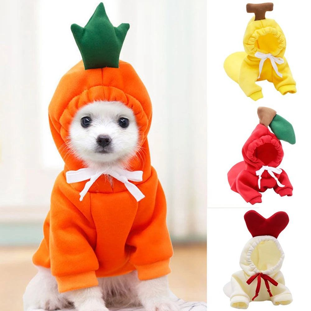 Fall Dog Hoodies Plush Coat for Small Dogs and Cats Warm Puppy Jacket