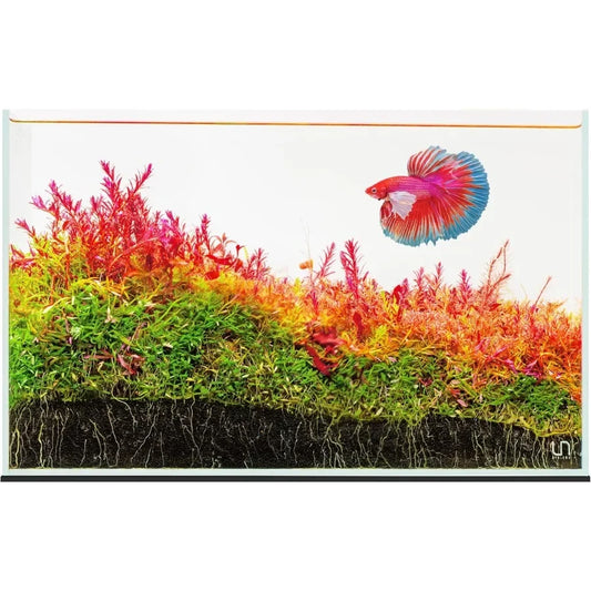 Ultra Clear Rimless Aquatic Display Tank With 45 Degree Mitered Edges 9.3 Gallon Capacity 35.2L 5mm Low Iron Glass