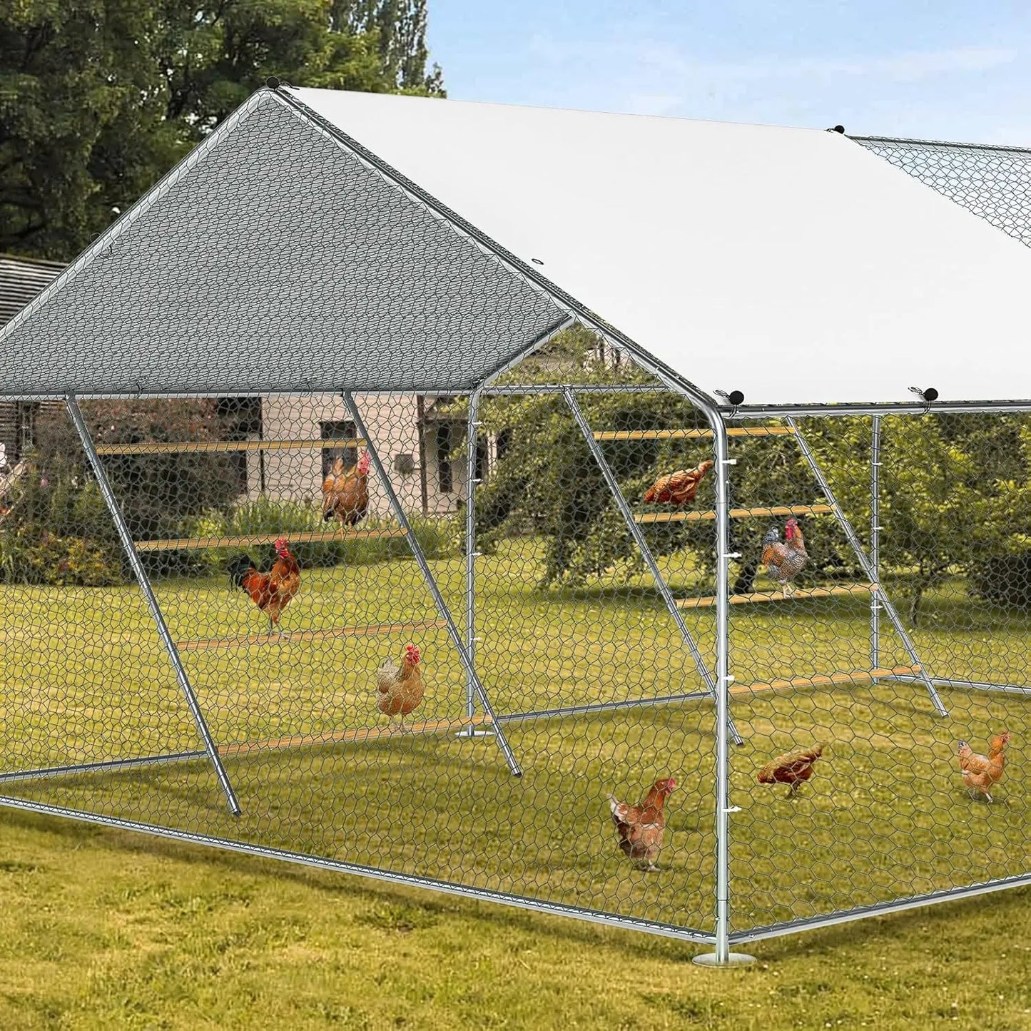 Chicken Coop Roosting Perch Essentials Perfect for Backyard Poultry Easy to Assemble and Clean Fun Roost Toys Included