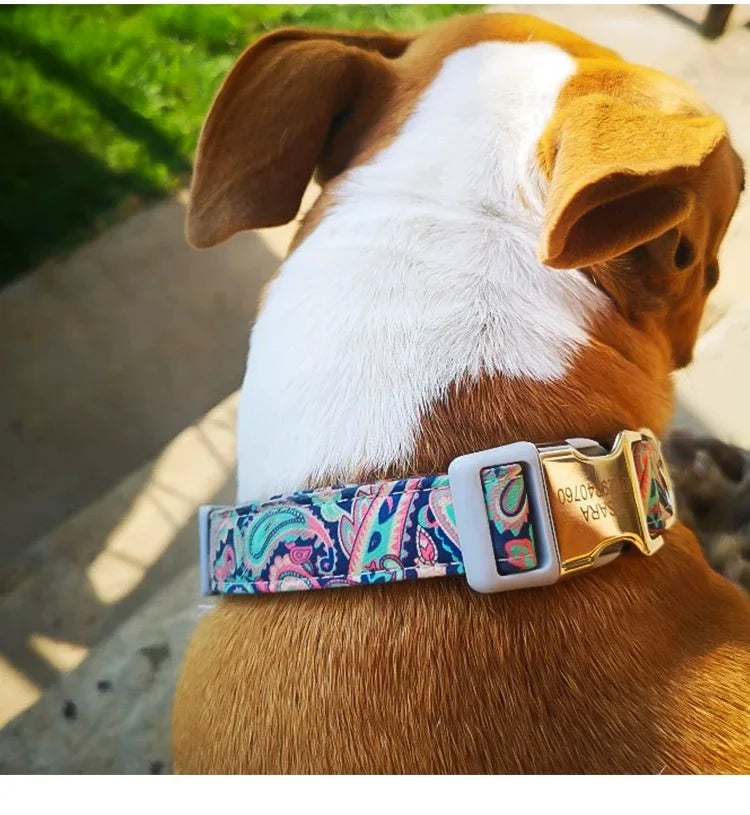 Engraved Dog Collar With Tag Semi Metal Buckle Medium Large