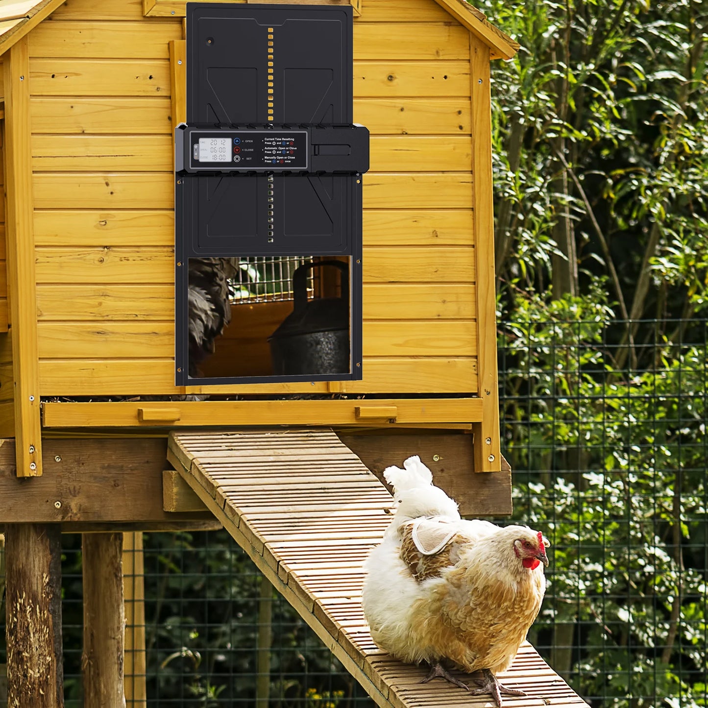 Large Size Automatic Chicken Coop Door New with Timer LCD Screen 3AA Battery Powered