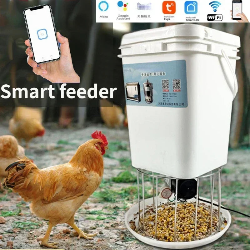 Automatic Chicken Feeder With Timer For Pigeons And Ducks
