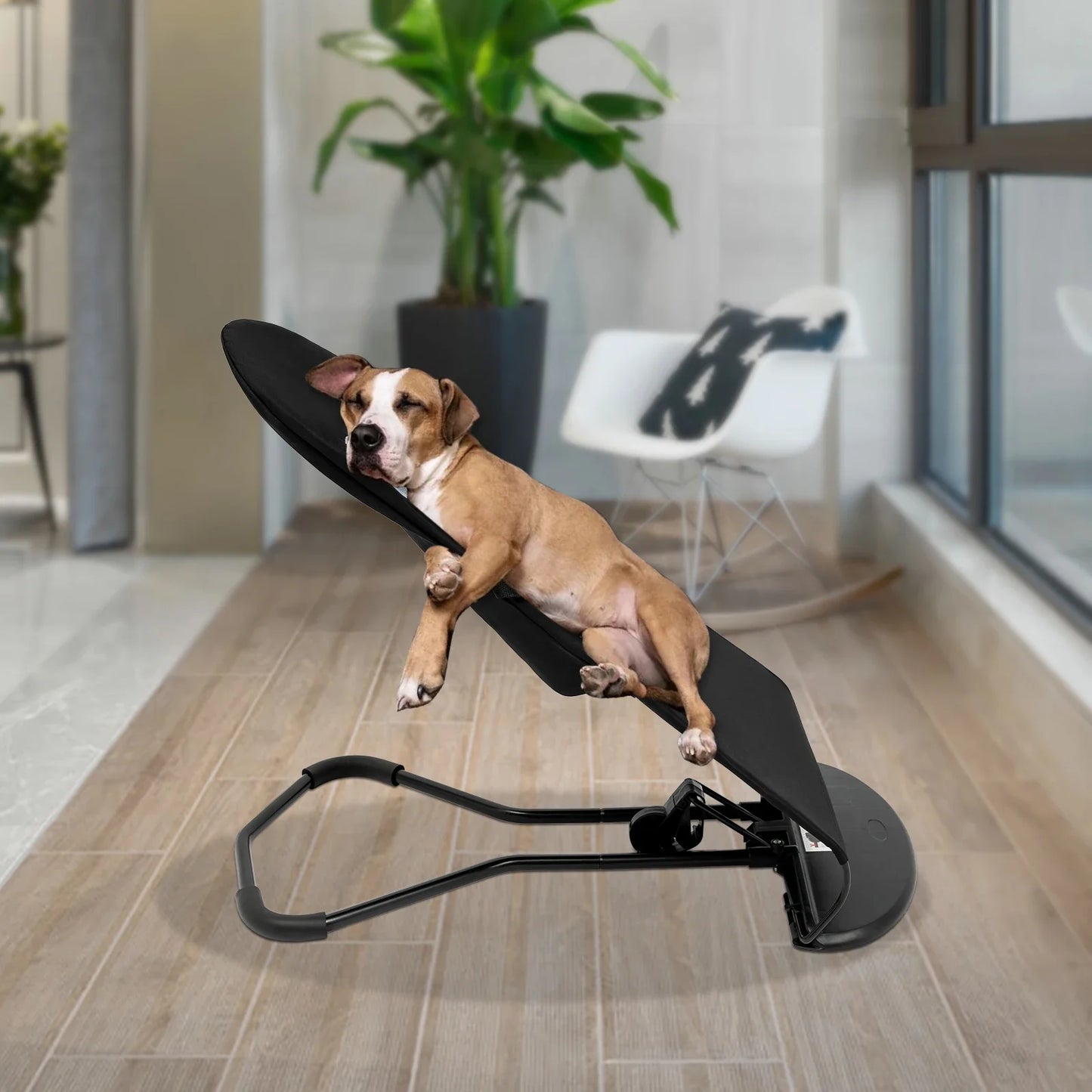 Pet Rocking Chair for Small Medium Dogs and Cats 33lb Capacity 3 Level Height Adjustable Foldable Design with Safety Buckle