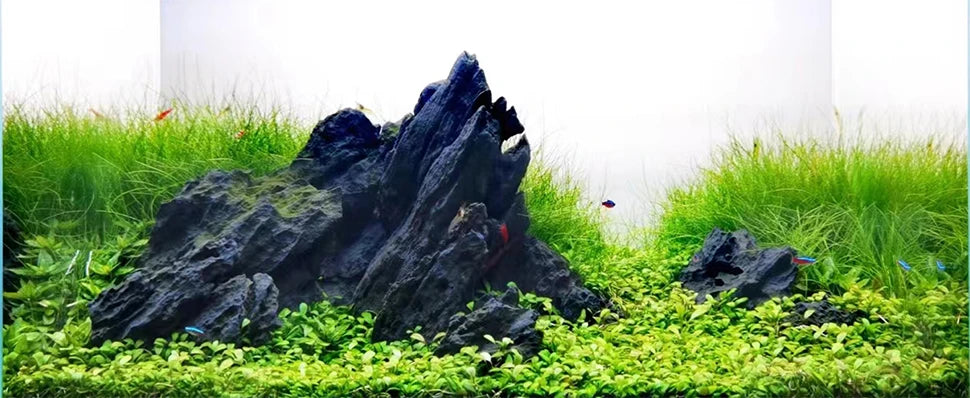 FZONE Aquarium Resin Seiryu Stone Model PH Nature Aquarium Rocks for aquascaping, Micro-Landscapes