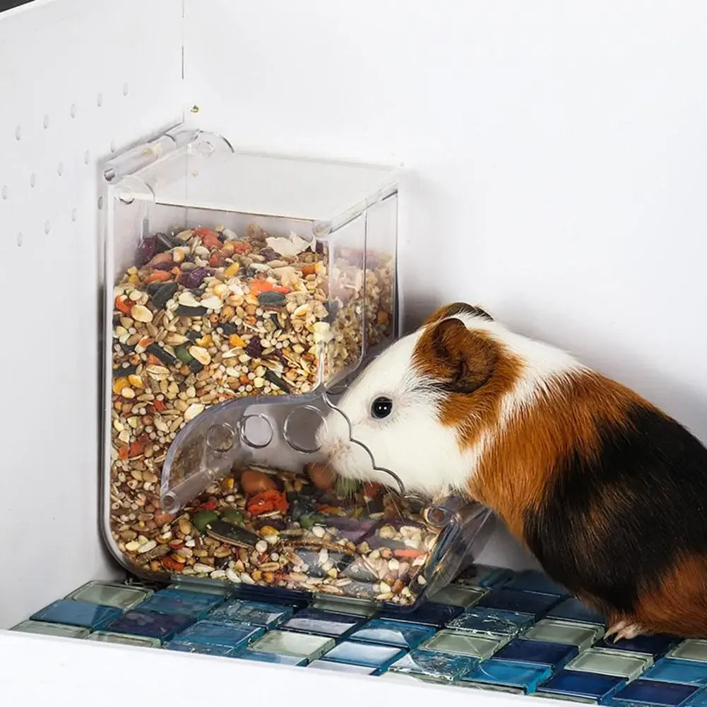 Hamster Rabbit Food Dispenser Feeder Clear Automatic Plastic Pet Feeder For Hamsters And Guinea Pigs Food Bowl Container