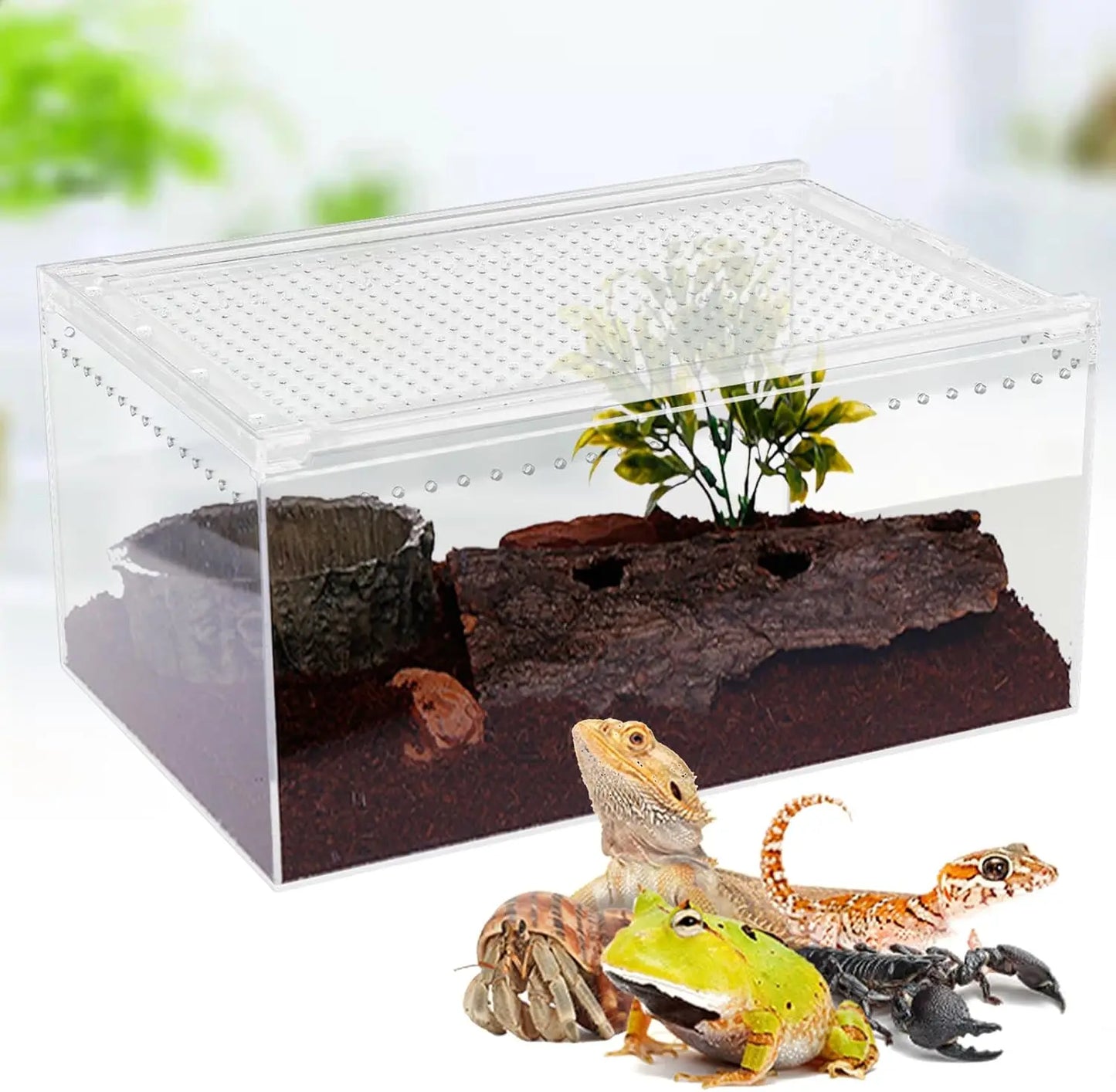 Magnetic Acrylic Reptile Enclosure 2.5 Gallon Breeding Box