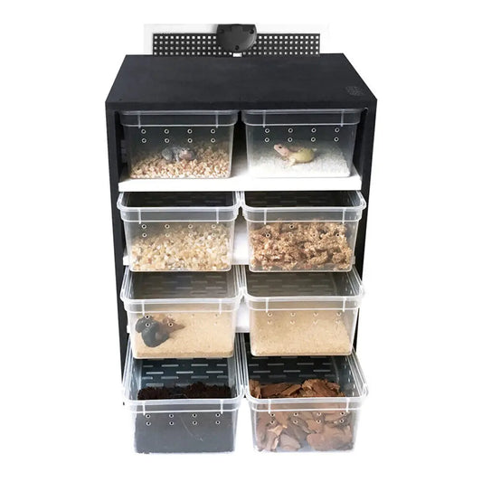 Professional Large Acrylic Feeding Box Reptile Breeding Tank Insect Spider Turtle Cage Lizard Pet Enclosure