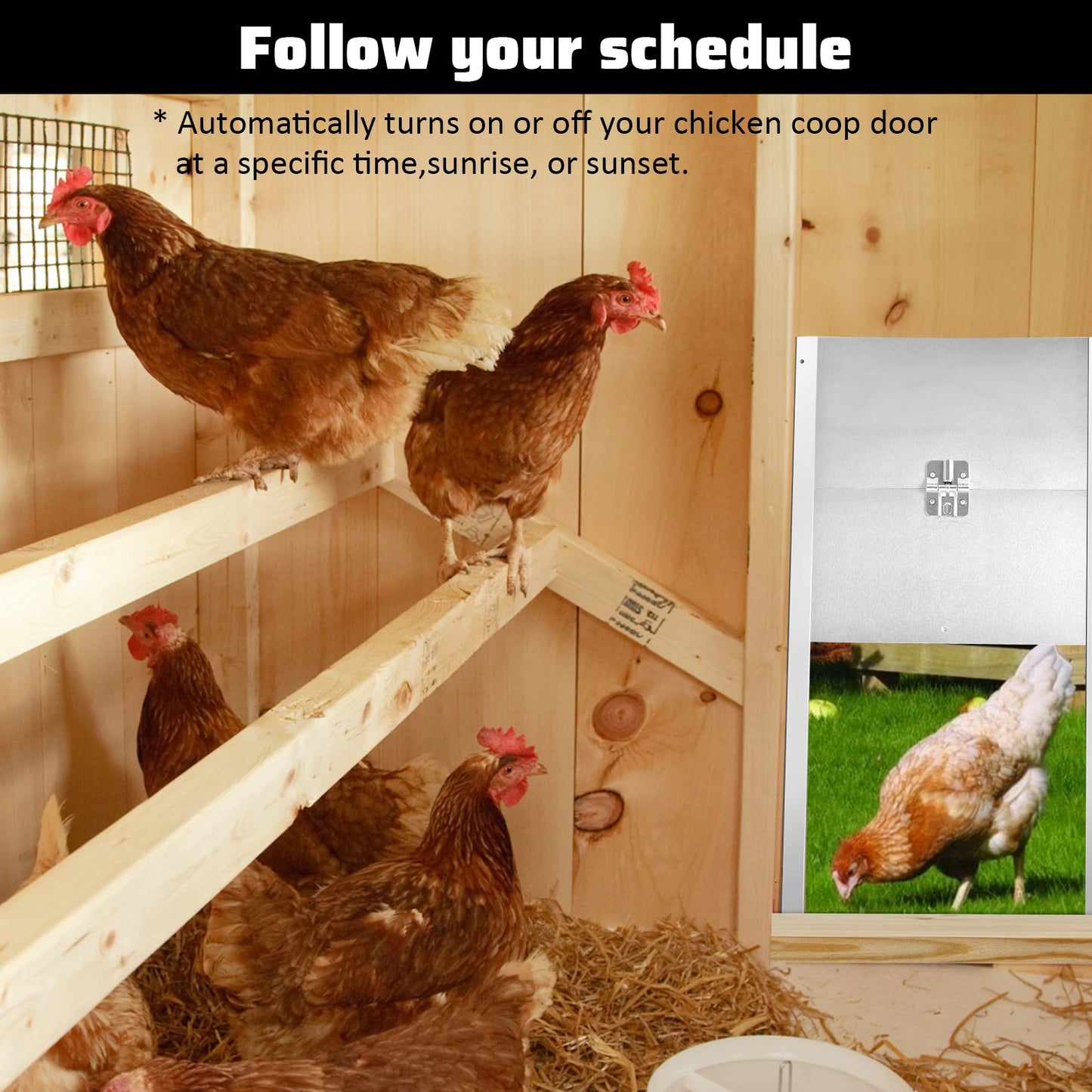 Automatic Chicken Door 66W White Opener For Farmers