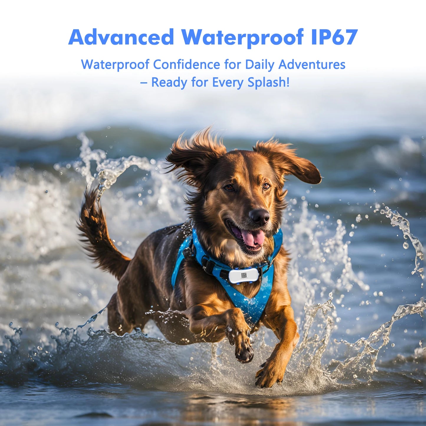 4G Dog Cat GPS Tracker for Pets - Waterproof Smart Locator