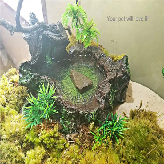 Stable And Sturdy Reptile Feeder Bowl Durable Resin Food And Water Dish For All Reptile Needs