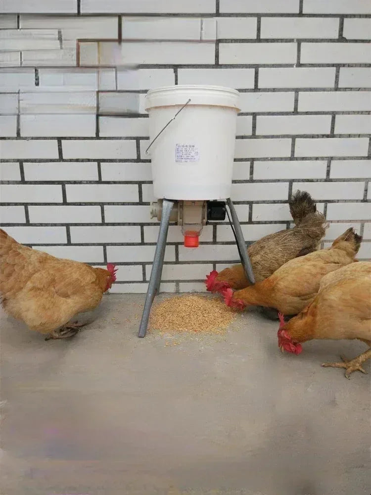 Automatic Chicken Feeder With Timer For Pigeons And Ducks