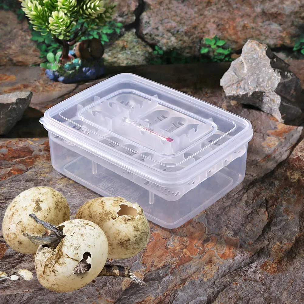 16 Grid Reptile Egg Incubator Tray Hatching Box for Snake Lizard Tortoise Turtle
