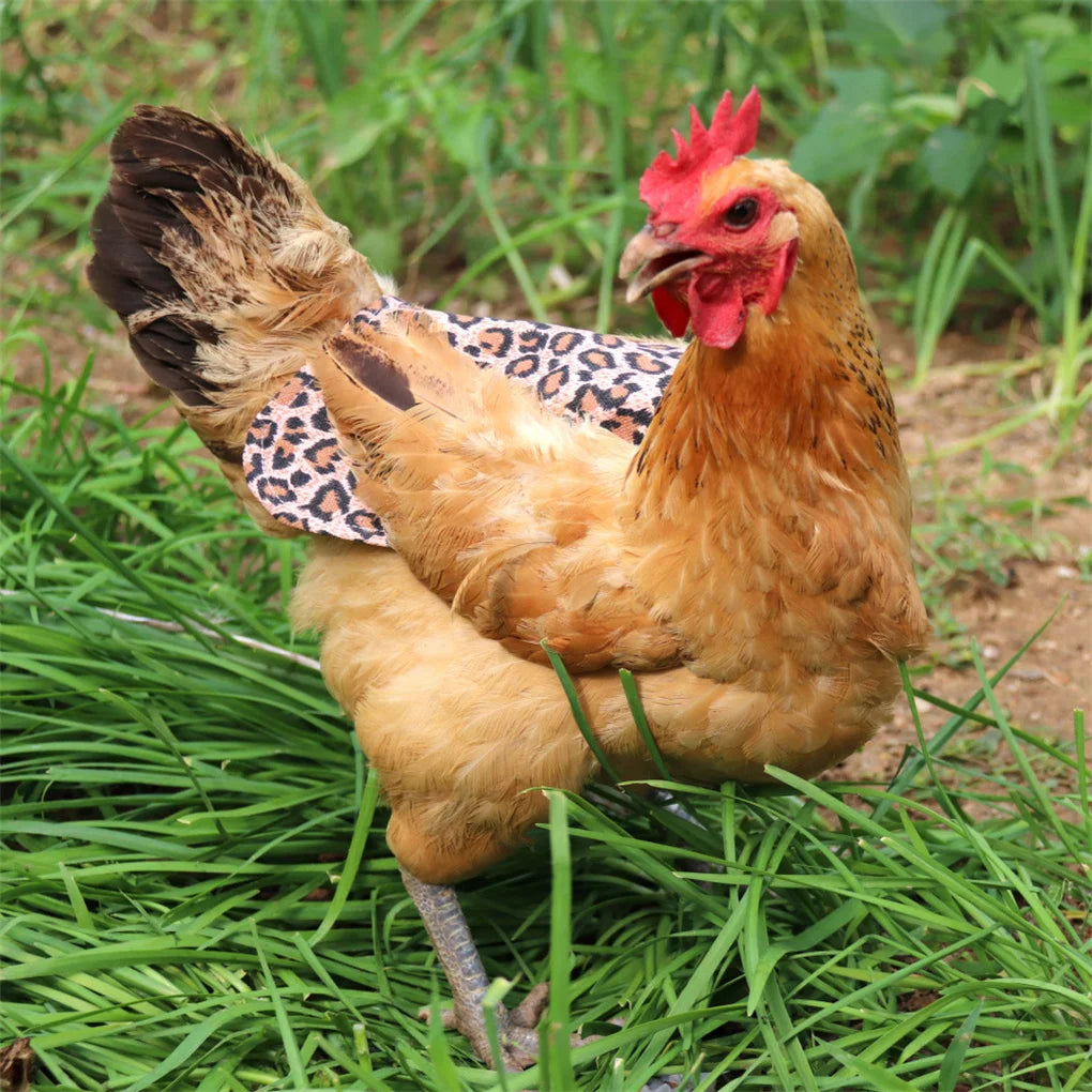 Pack of 5 Chicken Saddle Canvas Hens Apron Feather Protector Accessories