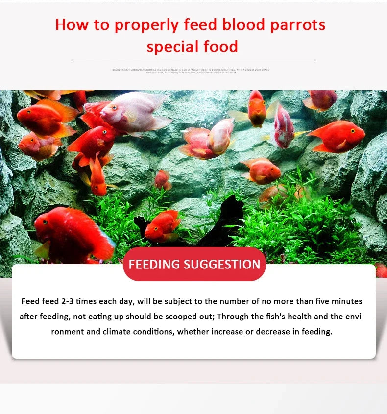 Spirulina Food Tropical Fish Nutrition Food for Aquarium