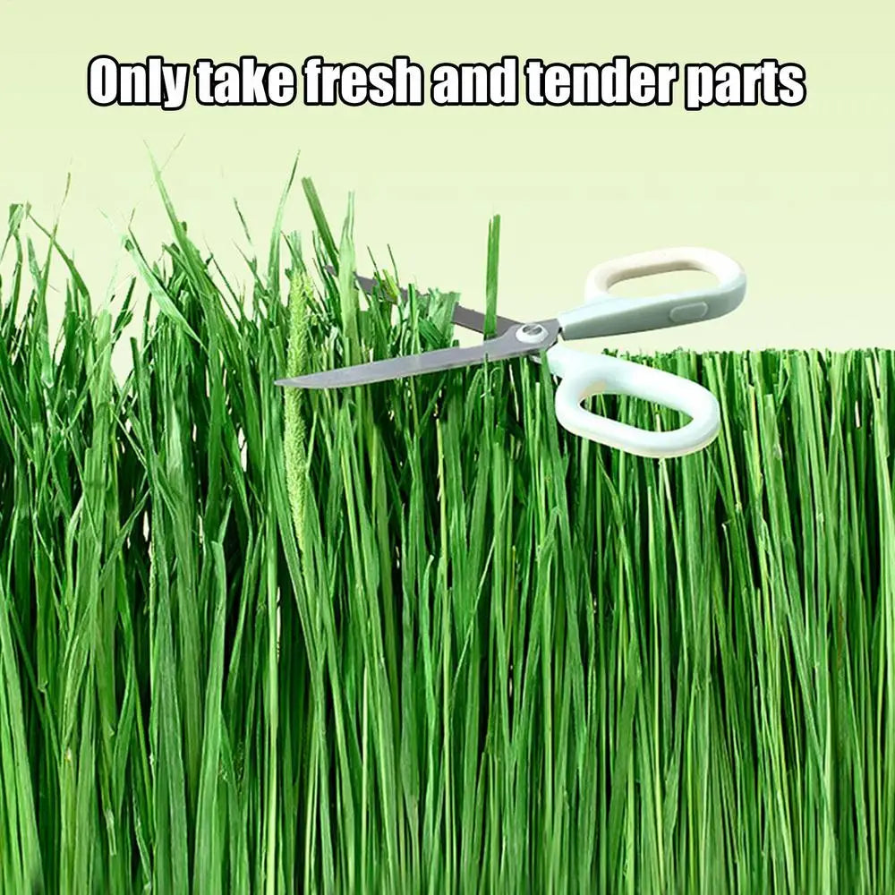 Rabbits Hay Food Safe Natural Grass Hay Bedding For Hamster