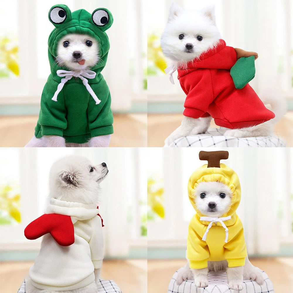 Fall Dog Hoodies Plush Coat for Small Dogs and Cats Warm Puppy Jacket