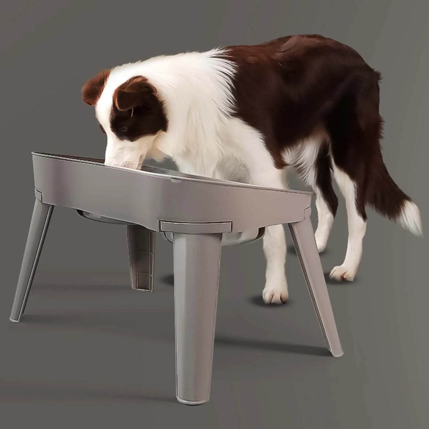 Raised Stand Elevated Dog Feeder Non-Slip No Spill Design