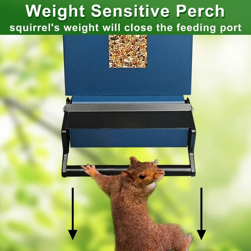 Squirrel Proof Bird Feeder for Outside Large Capacity Seed