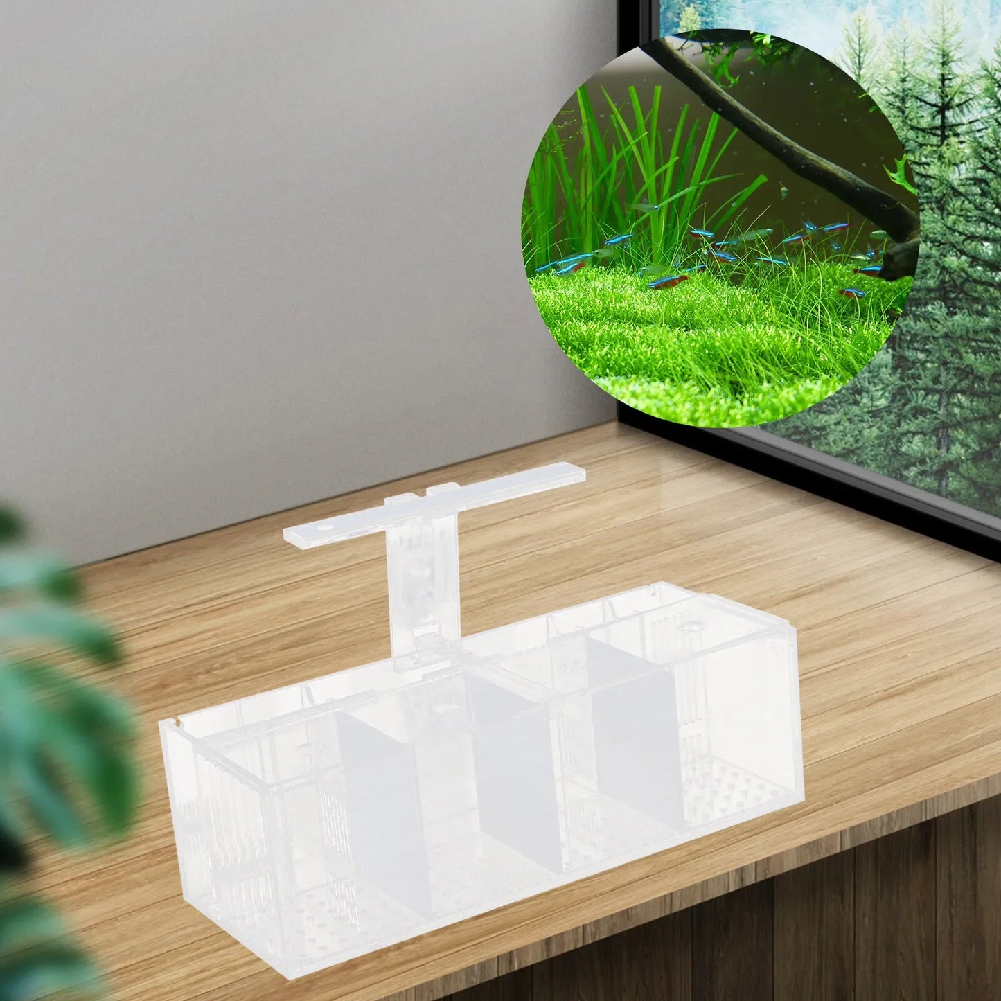 USB Powered Desktop Aquaponic Betta Tank With Acrylic Rectangle 4 Section Design