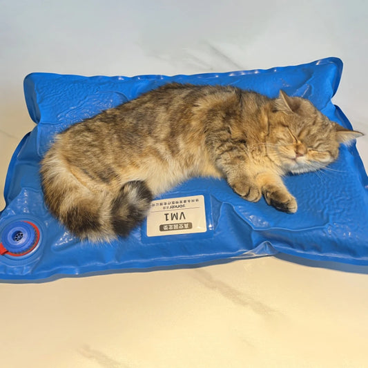 Animal Surgical Accessories Pet Vacuum Positioning Mat Small Veterinary Examination Pad