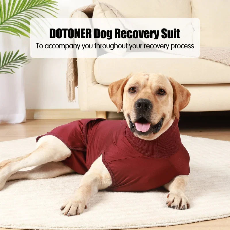 Postoperative Recovery Suit For Dogs And Cats Shirt